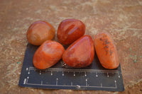 Polished  Carnelian Agate Tumble Stones  x 1 Kg Lot From Madagascar