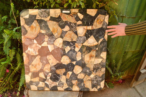 Polished Unusual Black & White Petrified Wood Table Top x 1 From Madagascar