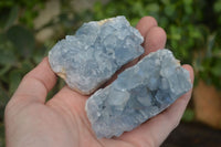 Natural Blue Celestite Crystal Specimens  x 4 From Sakoany, Madagascar - Toprock Gemstones and Minerals 