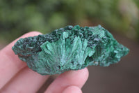 Natural Chatoyant Silky Malachite Specimens  x 12 From Kasompe, Congo - Toprock Gemstones and Minerals 