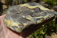 Polished Septarian (Calcite & Aragonite) Slices x 6 From Madagascar - TopRock