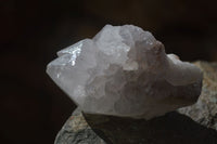 Natural Large White Cactus Flower Spirit Quartz Clusters x 12 From Boekenhouthoek, South Africa