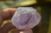 Natural Jacaranda Amethyst Crystals x 6 From Mumbwe, Zambia