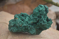 Natural Chatoyant Silky Malachite Specimens  x 2 From Congo - Toprock Gemstones and Minerals 