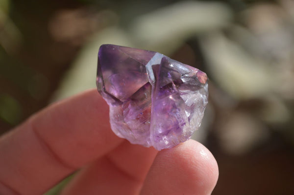 Natural Small Amethyst Window Quartz Crystals  x 35 From Chiredzi, Zimbabwe