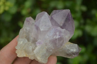 Natural Jacaranda Amethyst Crystals x 6 From Mumbwe, Zambia