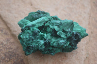 Natural Chatoyant Silky Malachite Specimens  x 12 From Kasompe, Congo - Toprock Gemstones and Minerals 