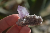 Natural Small Amethyst Window Quartz Crystals  x 35 From Chiredzi, Zimbabwe