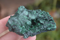 Natural Chatoyant Silky Malachite Specimens  x 12 From Kasompe, Congo - Toprock Gemstones and Minerals 