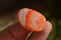 Polished  Carnelian Agate Tumble Stones  x 1 Kg Lot From Madagascar