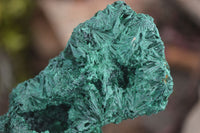 Natural Chatoyant Silky Malachite Specimens  x 2 From Congo - Toprock Gemstones and Minerals 