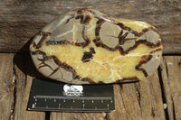 Polished Septarian (Calcite & Aragonite) Slices x 6 From Madagascar - TopRock