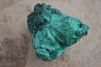 Natural Chatoyant Silky Malachite Specimens  x 12 From Kasompe, Congo - Toprock Gemstones and Minerals 