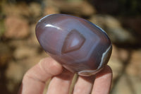 Polished Red Sashe River Agate Free Forms x 6 From Sashe River, Zimbabwe