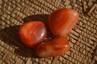 Polished  Carnelian Agate Tumble Stones  x 1 Kg Lot From Madagascar