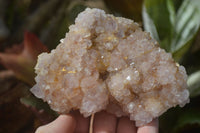 Natural Spirit Quartz Clusters x 9 From Boekenhouthoek, South Africa