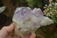 Natural Jacaranda Amethyst Crystals x 6 From Mumbwe, Zambia