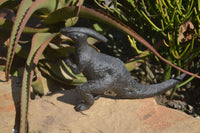 Polished Black Soapstone Dinosaur Carving x 1 From Zimbabwe