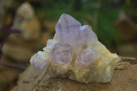 Natural Jacaranda Amethyst Crystals x 6 From Mumbwe, Zambia