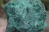 Natural Chatoyant Silky Malachite Specimens  x 2 From Congo - Toprock Gemstones and Minerals 