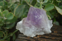 Natural Jacaranda Amethyst Clusters  x 3 From Zambia - Toprock Gemstones and Minerals 