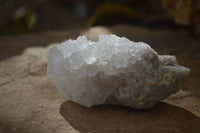 Natural Large White Cactus Flower Spirit Quartz Clusters x 12 From Boekenhouthoek, South Africa