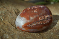 Polished Red Sashe River Agate Free Forms x 6 From Sashe River, Zimbabwe