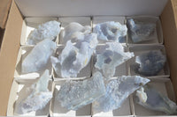 Natural Etched Blue Chalcedony Specimens  x 12 From Nsanje, Malawi