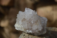 Natural Large White Cactus Flower Spirit Quartz Clusters x 12 From Boekenhouthoek, South Africa