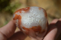 Polished Red Sashe River Agate Free Forms x 6 From Sashe River, Zimbabwe