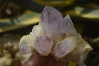 Natural Jacaranda Amethyst Crystals x 6 From Mumbwe, Zambia