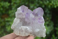 Natural Jacaranda Amethyst Clusters  x 3 From Zambia - Toprock Gemstones and Minerals 