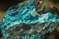 Natural Silica Chrysocolla On Dolomite Matrix Specimens x 3 From Congo