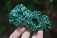 Natural Chatoyant Silky Malachite Specimens  x 2 From Congo - Toprock Gemstones and Minerals 