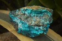 Natural Silica Chrysocolla On Dolomite Matrix Specimens x 3 From Congo