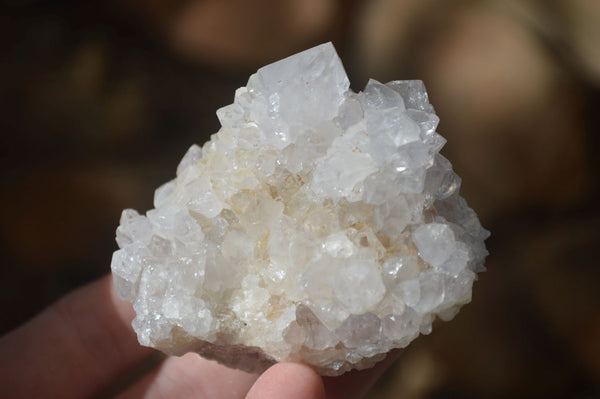 Natural Large White Cactus Flower Spirit Quartz Clusters x 12 From Boekenhouthoek, South Africa