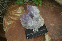 Natural Jacaranda Amethyst Clusters  x 3 From Zambia - Toprock Gemstones and Minerals 