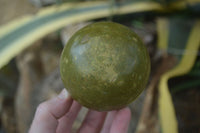 Polished Green Opal Spheres  x 3 From Madagascar - Toprock Gemstones and Minerals 