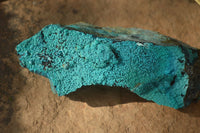 Natural Silica Chrysocolla On Dolomite Matrix Specimens x 3 From Congo