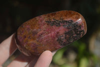 Polished Pink Rhodonite Free Forms  x 6 From Zimbabwe - Toprock Gemstones and Minerals 