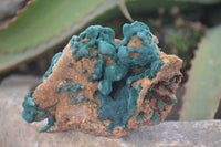 Natural Rare Ball Malachite On Quartz & Dolomite Specimens x 2 From Kambove, Congo