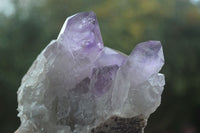 Natural Jacaranda Amethyst Clusters  x 3 From Zambia - Toprock Gemstones and Minerals 