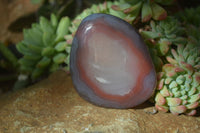 Polished Red Sashe River Agate Free Forms x 6 From Sashe River, Zimbabwe