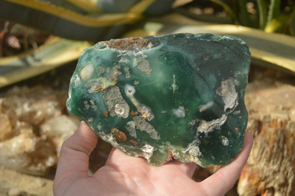 Polished One Side Polished Emerald Mtorolite Plates  x 2 From Zimbabwe