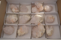 Natural White Cactus Flower Spirit Quartz Specimens x 12 From Boekenhouthoek, South Africa