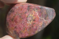 Polished Pink Rhodonite Free Forms  x 6 From Zimbabwe - Toprock Gemstones and Minerals 