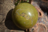 Polished Green Opal Spheres  x 3 From Madagascar - Toprock Gemstones and Minerals 