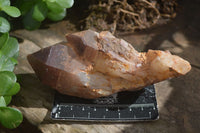 Natural Cascading Red Hematoid Phantom Quartz Crystal Formations  x 3 From Karoi, Zimbabwe - Toprock Gemstones and Minerals 