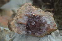 Natural Amethyst Crystal Specimens  x 3 From Zululand, South Africa - Toprock Gemstones and Minerals 