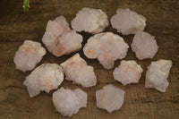 Natural White Cactus Flower Spirit Quartz Specimens x 12 From Boekenhouthoek, South Africa